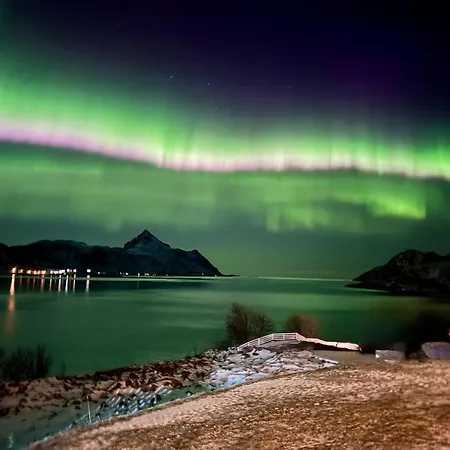 Lofoten Paradise Sea View Napp