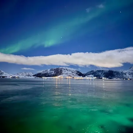 Lofoten Paradise Sea View